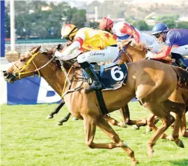  ?? Picture: JC Photograph­ics ?? HARD FOUGHT. Prince Of Kahal (Dennis Schwarz) gets up in the shadow of the post to win the Grade 2 Joburg Spring Challenge over 1450m at Turffontei­n on Saturday.