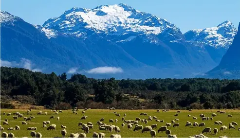  ?? ?? New Zealand is well known for its stunning scenery chudakov2 / Canva pro