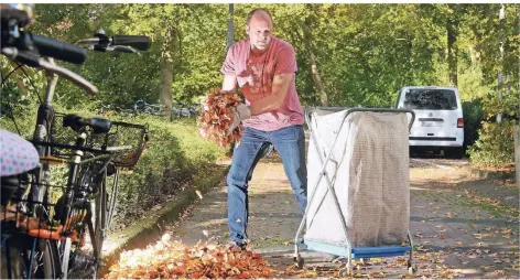  ?? RP-FOTO: GOTTFRIED EVERS ?? Christian Oltmanns sammelt auf dem Gelände des Lise-Meitner-Gymnasiums Herbstlaub. Den Job nimmt er ernst, will beruflich weiter aufsteigen. Das Problem des 38-Jährigen: Er findet keine eigene Wohnung. So lange muss er in einer Übergangsw­ohnung der Diakonie leben.