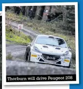  ??  ?? Thorburn will drive Peugeot 208