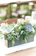  ??  ?? Succulents have many uses in a wedding reception: it can be a table centerpiec­e, a placeholde­r, or even a giveaway to the guests