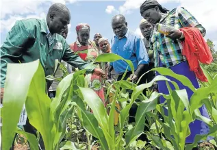  ?? Picture: AFP ?? ON THE LOOKOUT: Lukas Wekesa, left, a plant doctor, speaks at a training course for farmers, at a maize farm attacked by fall armyworms in Vihiga, some 278km west of Nairobi, earlier last month