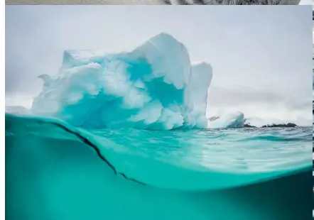 ??  ?? Bottom: shot in Antarctica, the framing of this iceberg, offers insight into the melting layers that lie beneath the frozen peaks