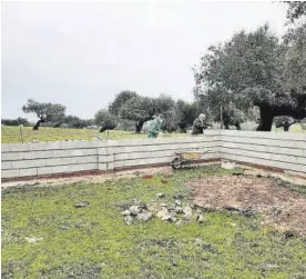  ??  ?? corral de manejo se construirá en la dehesa del municipio. EL PERIÓDICO