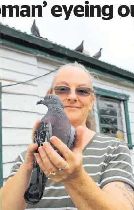  ?? Photos / Rebecca Mauger ?? Traci Vivian with one of her 13 pigeons.