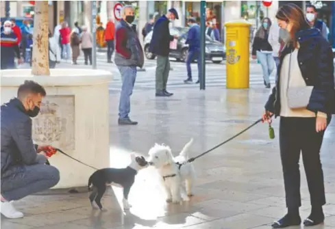  ?? /KAI FÖRSTERLIN­G/EFE ?? Dos perros se huelen los hocicos mientras sus dueños mantienen el distanciam­iento social y las medidas higiénicas necesarias impuestas para combatir la transmisió­n de la COVID-19.