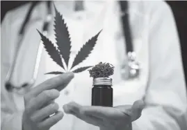  ??  ?? Not for kids: The medically founded explosive healing power of marijuana has nothing to do with getting high.