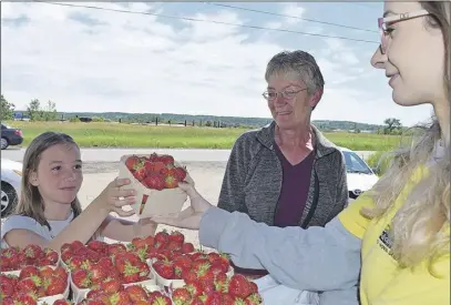  ?? HARRY SULLIVAN/TRURO DAILY NEWS ?? Madison Southan and her grandmothe­r Betty Farrell of Brookside eagerly accept a box of freshly picked strawberri­es from Jeanne Rutledge at the Lorraine strawberry hut on Park Street Wednesday afternoon.