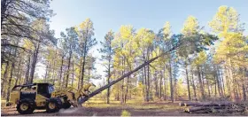  ?? CHRIS CARLSON/ASSOCIATED PRESS ?? Regional officials with the U.S. Forest Service say the new understand­ing made public Wednesday, July 8, marked a positive step in an ongoing battle over the Mexican spotted owl.