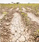  ?? ?? • Sequías muy prolongada­s se vaticinan para Tabasco.