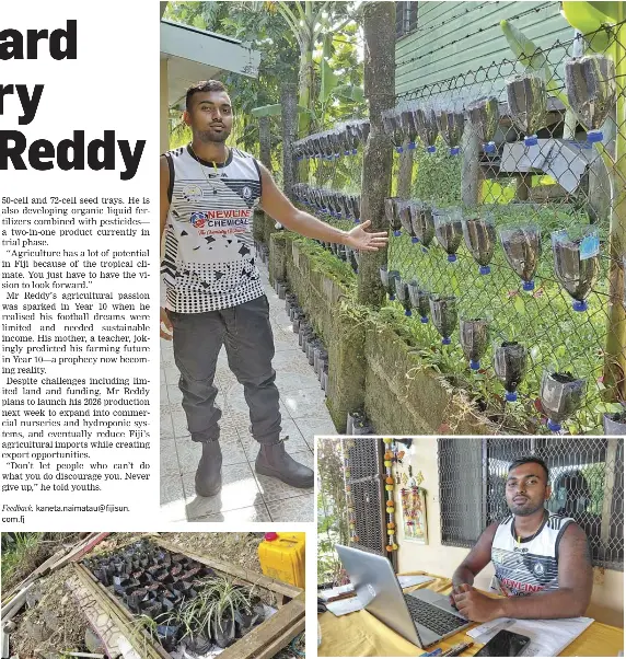Backyard Nursery Helps Reddy - PressReader