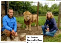  ??  ?? On Animal Park with Ben Fogle and Harry the lion