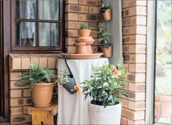  ??  ?? POTTER AROUND:WITH pots and containers you can turn a small space into an eye-catching display of greenery.