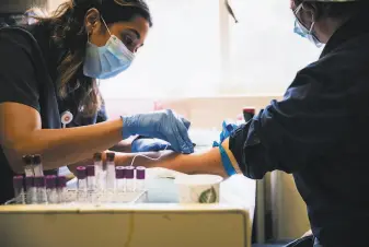  ??  ?? Tamareh Abualhsan, clinical research coordinato­r with UCSF’s Longterm Impact of Infection with Novel Coronaviru­s study, takes a blood sample from Qin.