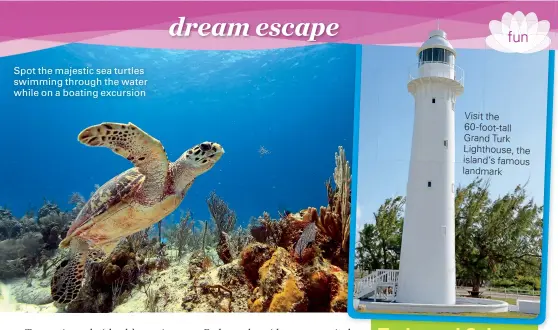  ??  ?? Spot the majestic sea turtles swimming through the water while on a boating excursion Visit the 60-foot-tall Grand Turk Lighthouse, the island’s famous landmark