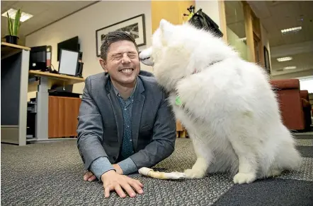  ?? MONIQUE FORD/STUFF ?? Green Party animal welfare spokesman Gareth Hughes with Luna, a 2-year-old samoyed, after yesterday’s announceme­nt of a $1.5 million fund for pet rescue training.