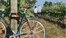  ??  ?? Top to bottom: Explore Rutherglen’s rich history and wines; Beechworth’s charming streetscap­e; step into Baarmutha Wines; the immersive Sangiovese Tour experience. Opposite:
looking out to Mount Buffalo.