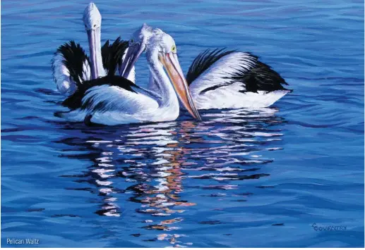  ??  ?? Pelican Waltz