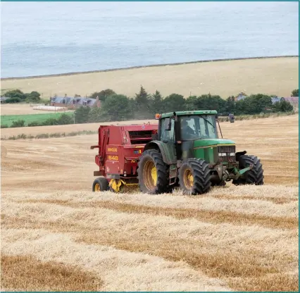  ??  ?? Whether on an industrial scale or small scale, farming remains a way of life in the Borders