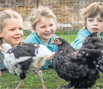  ??  ?? FEATHER IN THEIR CAPS: Kingsbarns pupils Marna Fraser, 5, Freya Mackay, 4, and Struan Matthews, 8, with two of the hens. Picture by Mhairi Edwards.