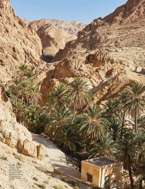  ??  ?? The path to the spring at Chebika, an oasis at the foot of the Djebel el Negueb range. Opposite: A serving of mint tea at the Anantara Tozeur Resort.