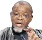  ??  ?? GWEDE MANTASHE