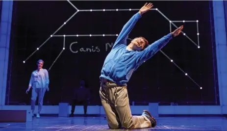  ?? RALF BRINKHOFF/BRINKHOFF/MOGENBURG ?? Julie Hale (Siobhan) and Joshua Jenkins (Christophe­r Boone) star in The Curious Incident of the Dog in the Night-Time at the Prince of Wales Theatre.