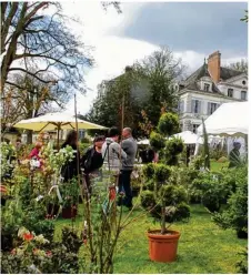  ??  ?? Les Journées des plantes feront découvrir de nouveaux exposants et des animations aux couleurs de l’automne. (Photo archives, Journées des plantes à Crécy la Chapelle)