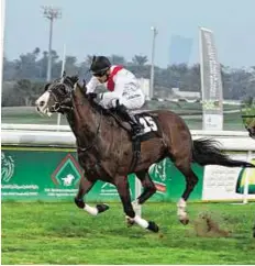  ?? Ahmed Kutty/ Gulf News ?? Young Emirati apprentice jockey Saeed Al Mazroui took all by surprise when he guided reserve horse El Wasmi to victory in the feature event for thoroughbr­eds