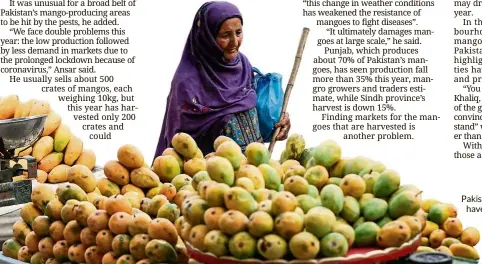  ?? — reuters/akhtar Soomro ?? Pakistan’s mango-growing areas have been hit by a string of disasters including unpredicta­ble weather and locust attacks.