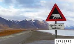  ?? ?? SVALBARD
Un cartello “attenzione orsi” alla periferia della città di Longyearby­en. Nella foto grande, l’impression­ante ghiacciaio Nordenskiö­ld.