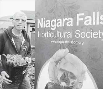  ?? PAUL FORSYTH NIAGARA THIS WEEK ?? Niagara Falls Horticultu­ral Society president Russell Boles is shown in his backyard with one of the plants he’s potted for the spring plant sale taking place at the Victoria Avenue library branch on May 25.