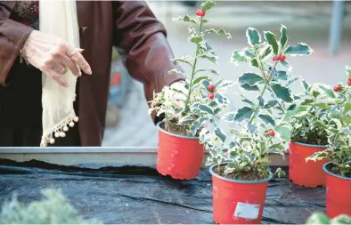  ?? MAICA/GETTY ?? It’s time to make your holiday gardening wish lists.