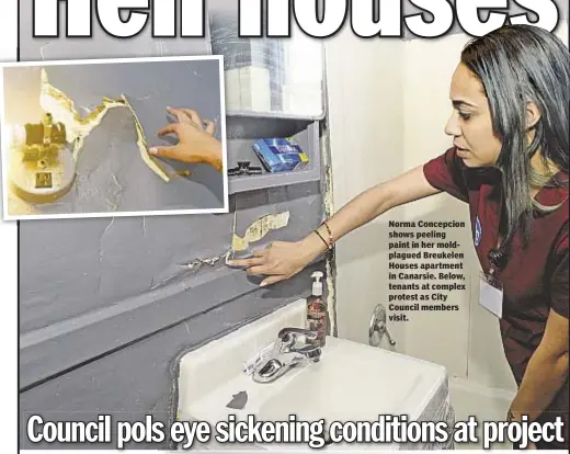  ??  ?? Norma Concepcion shows peeling paint in her moldplague­d Breukelen Houses apartment in Canarsie. Below, tenants at complex protest as City Council members visit.