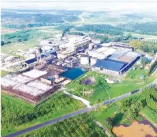  ?? ?? MSM remains focused in meeting these demands by improving operations particular­ly to ensure MSM Johor reaches a stable operation to attain lower refining cost with higher efficiency.