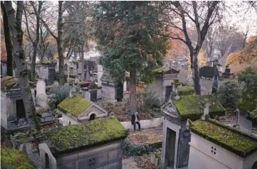  ?? DMITRY KOSTYUKOV/THE NEW YORK TIMES 2022 ?? The once-barren Pere-Lachaise cemetery in Paris has grown into a lush garden.