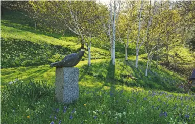  ??  ?? When does landscape become garden? Big Bird stands just above the bay called Parson’s Mud