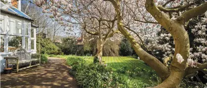  ??  ?? Facing the chop? The trees in the property’s garden are protected by a preservati­on order