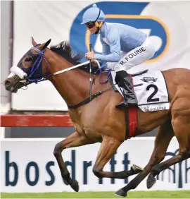  ?? Picture: JC Photograph­ics ?? WITHDRAWN. Rain In Holland has been pulled out of both the Woolavingt­on 2000 and the Hollywoodb­ets Durban July as she will need corrective surgery to repair an entrapped epiglottis.