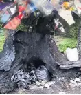  ??  ?? CARELESS Fire-damaged tree in the Trossachs and, top, rubbish left at Ben A’an