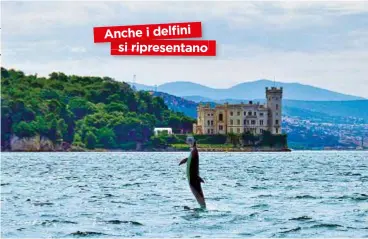  ??  ?? Negli ultimi giorni sono state avvistatem­olte specie in contesti dove di solito non appaiono, come lepri nei giardini e tursiopi nei porti. Nella foto sopra, lo storico avvistamen­to di un delfino a Trieste nel 2011. Si ripeterà? (Foto di Saul Ciriaco nel 2011 presso WWF AMP Miramare).