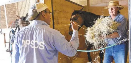  ?? DYLAN SLAGLE/BALTIMORE SUN MEDIA GROUP PHOTOS ?? Pablo Lancaster left, hands a bale of hay to Allen Booth, right, feeding Dancer, at Second Chances Horse Farm in Sykesville.