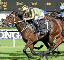  ?? PHOTO: ?? Sofia Rosa is likely to run in Sydney on Saturday.