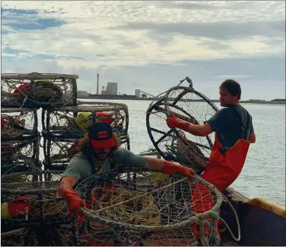  ?? CONTRIBUTE­D BY CAP’N ZACH’S CRAB HOUSE ?? The Dungeness crab season is on the brink of starting in Humboldt County and crabbers are readying their boats to set gear later this week.