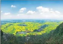  ?? PROVIDED TO CHINA DAILY ?? Terraced fields in Shawan district in Leshan, Sichuan province.