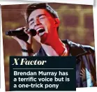  ??  ?? Brendan Murray has a terrific voice but is a one-trick pony X Factor