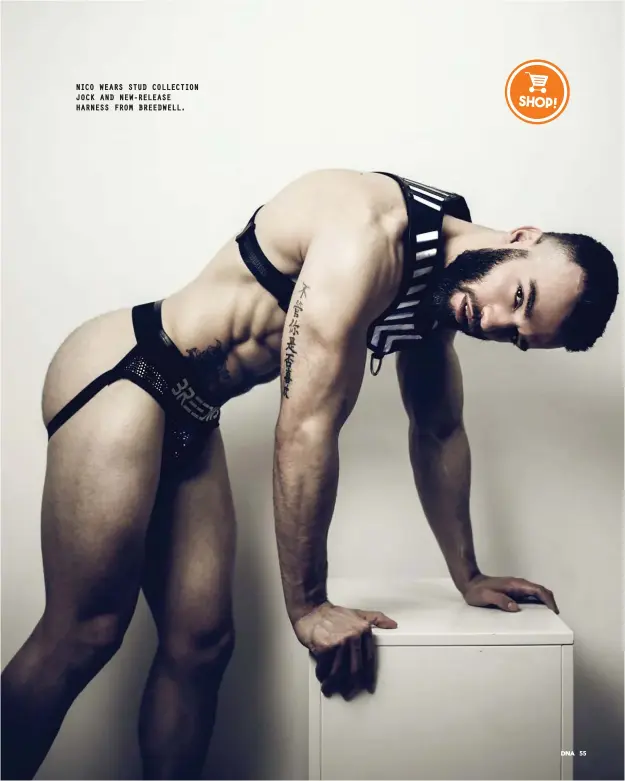  ??  ?? NICO WEARS STUD COLLECTION JOCK AND NEW-RELEASE HARNESS FROM BREEDWELL.