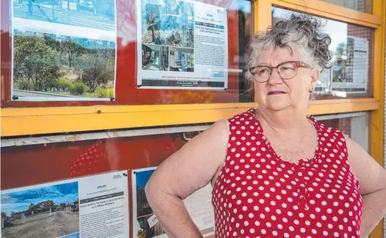  ?? Picture: Dominic Elsome ?? Nanango real estate agent and South Burnett community activist Jane Erkens is leading the vote count.