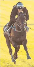  ?? Picture: GETTY ?? Shadow Hero works at Flemington.