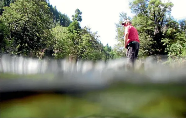  ?? MARTIN DE RUYTER/THE LEADER ?? Farmer Mitch Irvine at the Lee Valley site of the proposed Waimea dam.